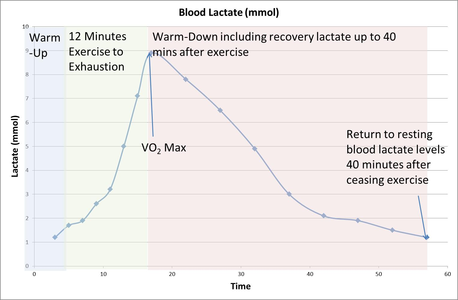 Laktik asit birikimi ve kas yorgunluğu
